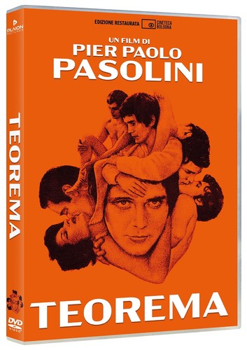 Dvd teorema pier paolo - pier,